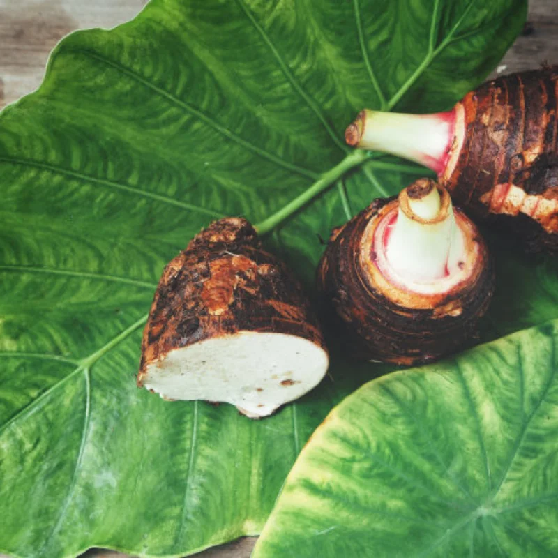 

Комплект шестерен двигателя из закаленной стали M1 для Trxs X-Maxx/X0-1/Maxx/E-REVO 2.0 — 46T/50T/52T/54T Spur + шестерня 18T/20T/22T