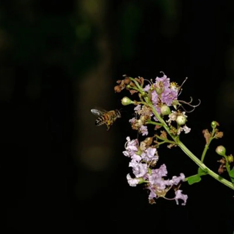 

Красочные алюминиевые + латунные колесные диски с бусинами 1,1 дюйма для 1/18 TRX4M 1/24 SCX24 AX24 FMS