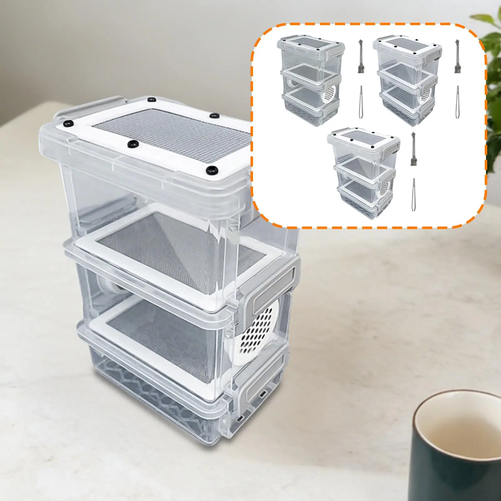 Caja de Cría para Cucarachas, Contenedor Portátil para Cría de Insectos, Caja de Cría de Gusanos de la Harina