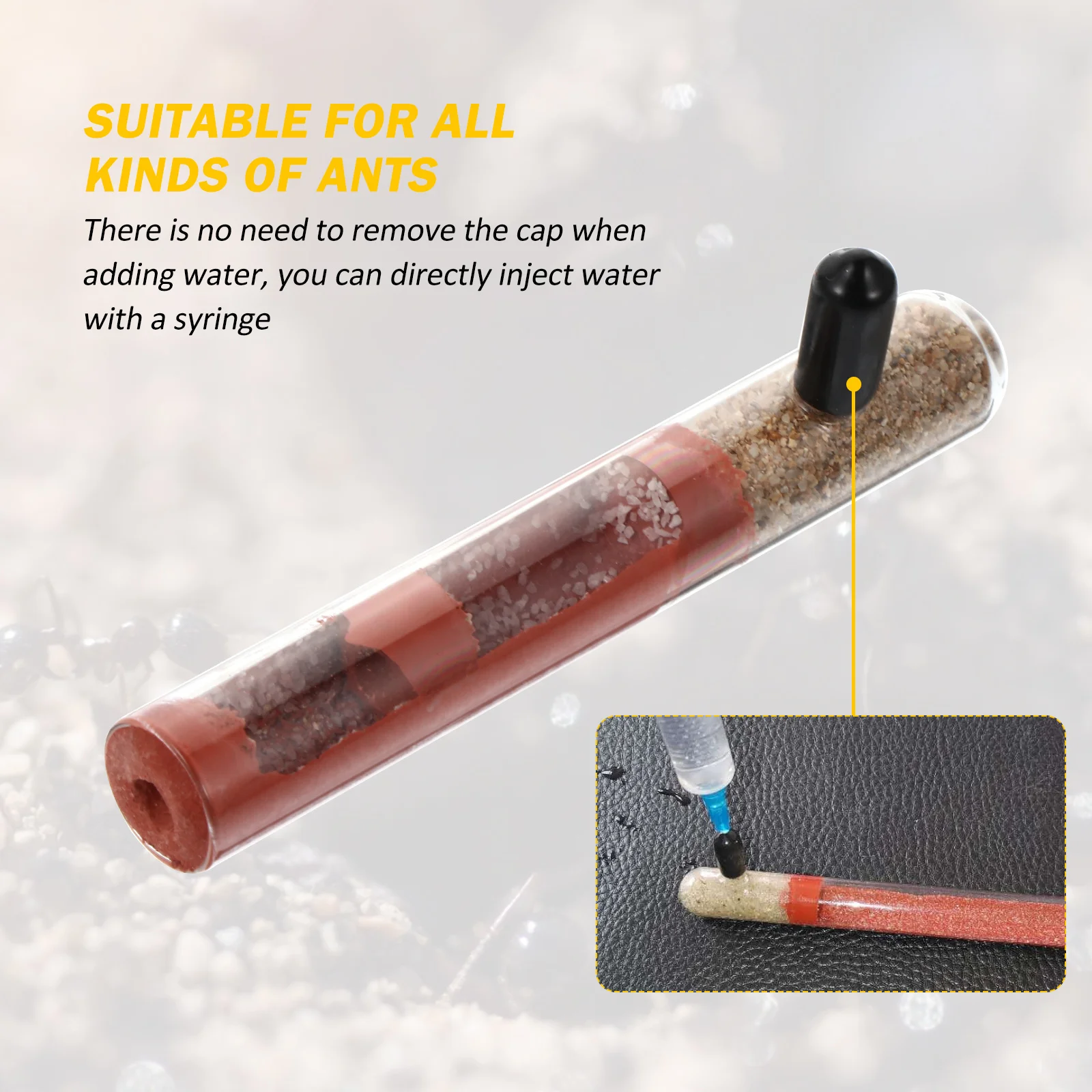 

Glass Tube Nest For Ants Breeding Transparent Starter Kit Easy Setup Supply Test Tube Colony Holder Insect