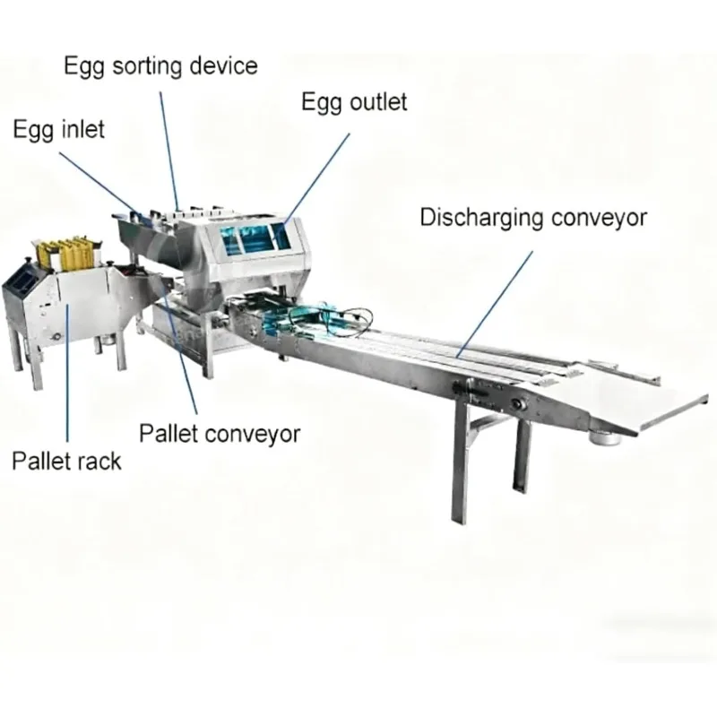 Customized Egg Washing and Grading Machine accurately Weighs, Washes,and Candles Eggs for Testing