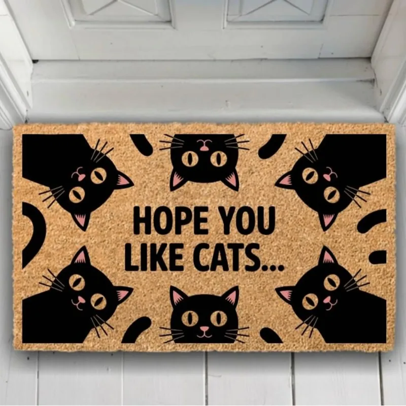 Matte mit lustigem Katzen-Kätzchen-Tier-Zitat, niedlich, humorvoll, witzig, dekorativ, rutschfest, gemütlich, Teppich, Wohnzimmer, Heimdekoration, Fußmatte, Teppiche