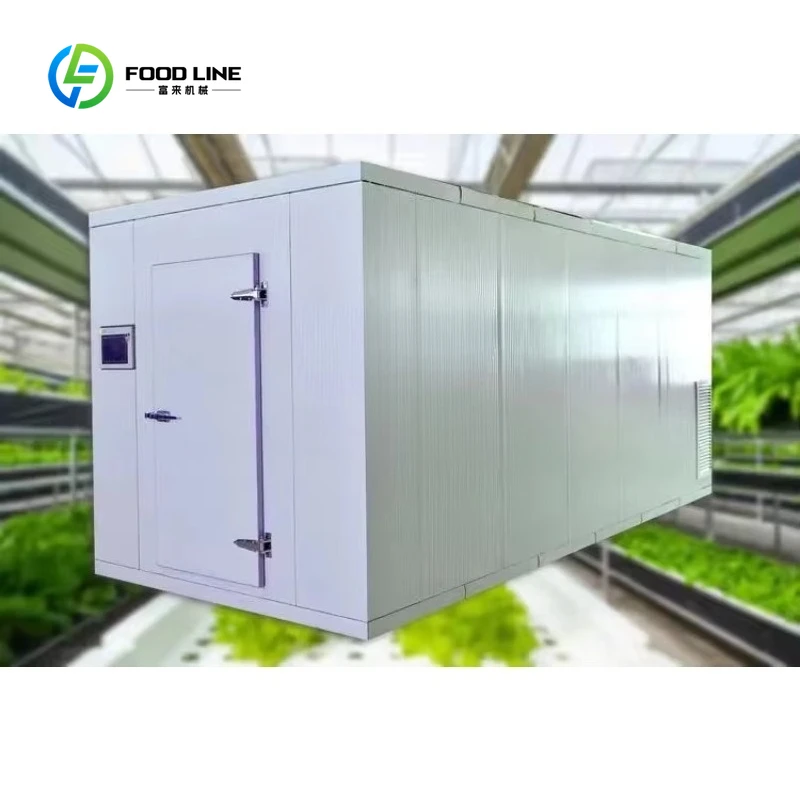 Customized Container Hydroponic Farm Smart Vertical Farming Container Farm Small Greenhouse Hydroponic Lettuce Growing System