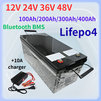 Lifepo4 Lithium Battery 12V 24V 36V 48V 100Ah 150Ah 200Ah 300Ah 400Ah with Bluetooth BMS APP for Solar Inverter EV Fishing Boat