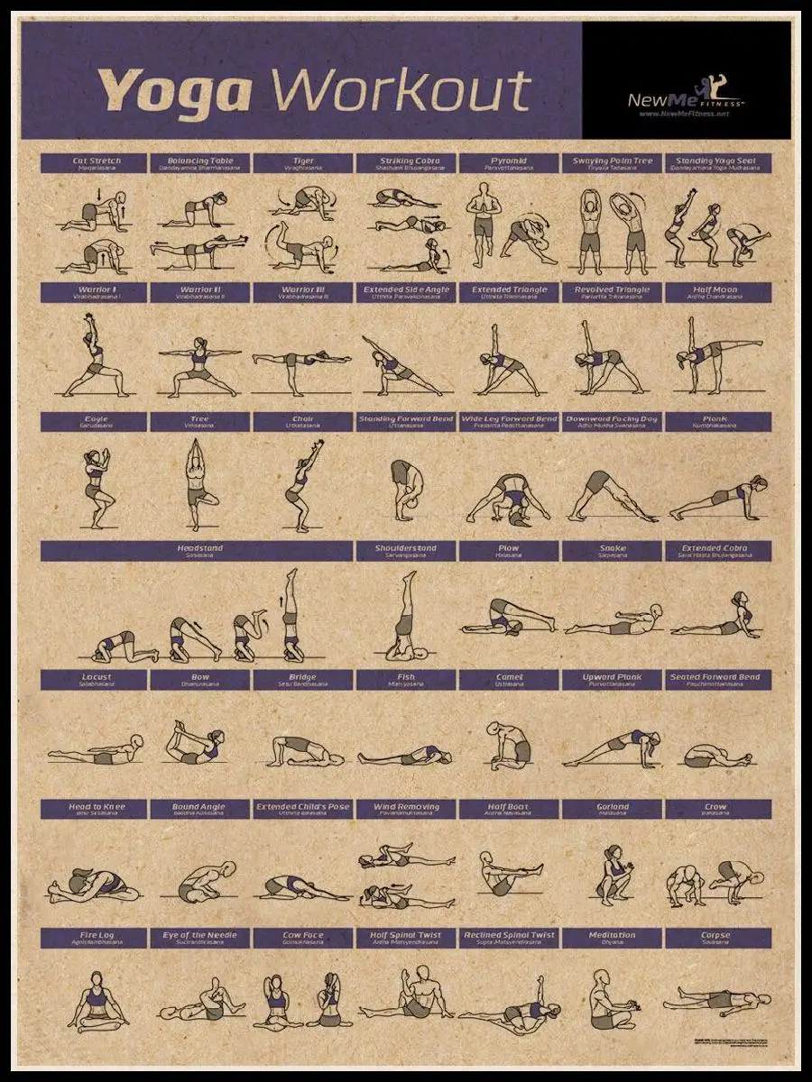 Complete Home Gym Workout Poster Set  Exercise Routines for Core Abs Legs Glutes  Upper Body