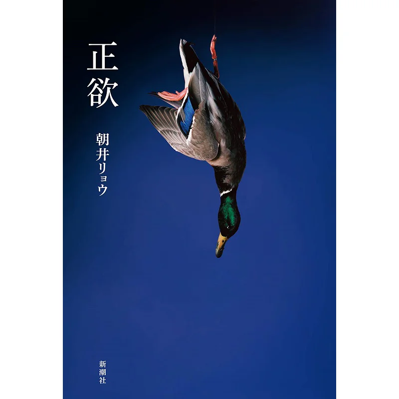 

Книга Zhengyu Ryo Asai New Trend Society 9784103330639