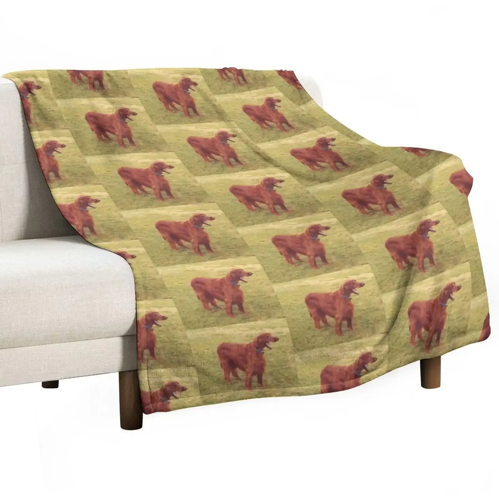 

Irish setter Throw Blanket For Baby Decorative Sofas Blankets