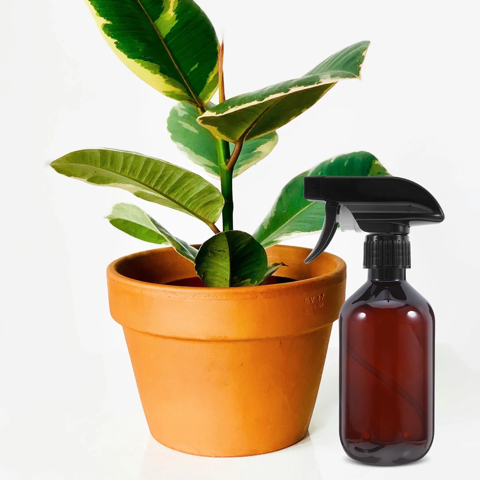 

2Pcs 300ml Pet Empty Spray Bottles Adjustable Nozzle for Cleaning Hair Plants Pets Bottle Sprayer Water Mister Spray Bottle