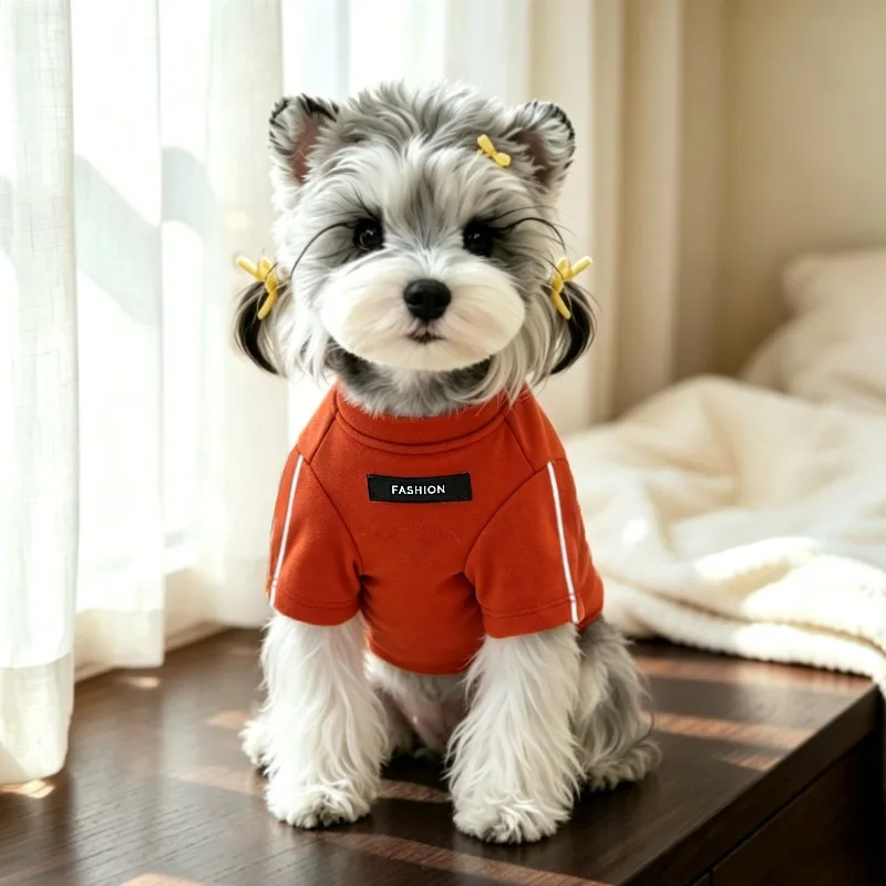 Winter Pet Two-Legged Base Layer, New Dog Clothes & Solid Color Cat Vest, Warm Minimalist Pullover for Teddy Dogs
