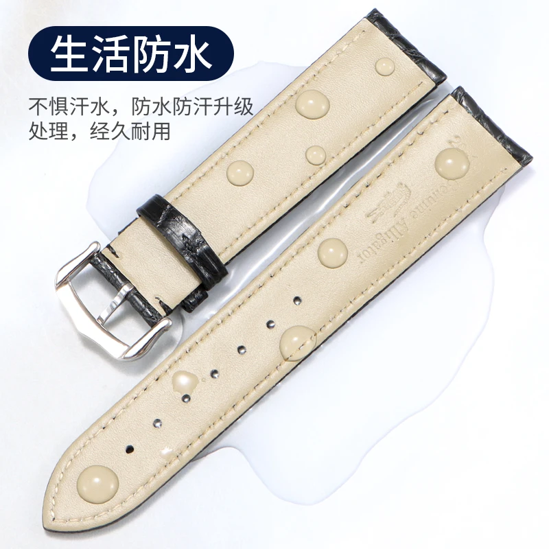 متوافق مع حزام ساعة جلد التمساح للرجال كارتييه تانك لندن وساعات روندا سولو من الجلد الطبيعي للنساء