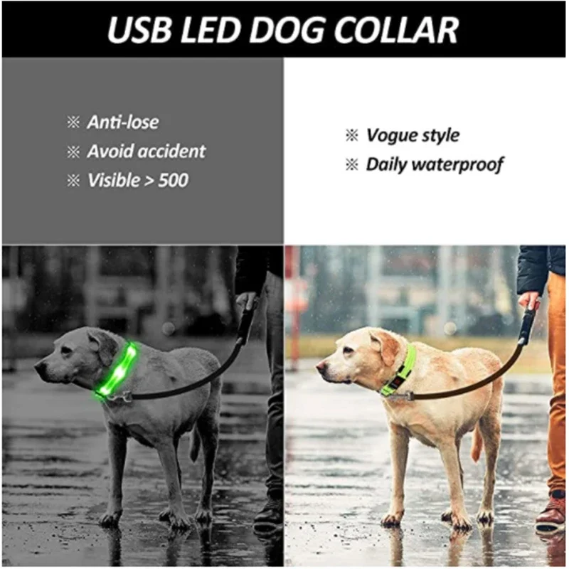 USB Rechargeable Dog Collar LED Glowing Luminous Night Necklace Adjustable Walking Harness Leash Dog Accessories Safety Supplies