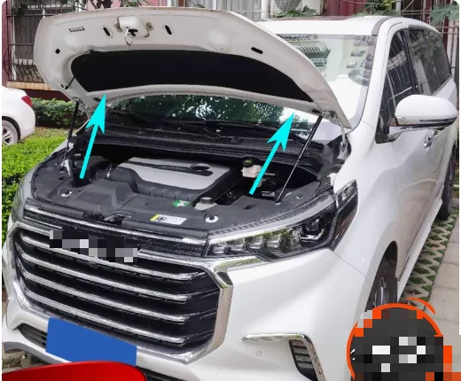 

For Maxus G20 G50 G20 Plus for MG G50 Plus 2019-2025 Front Hood Bonnet/Rear Tailgate Trunk Gas Struts Lift Support Shock Damper