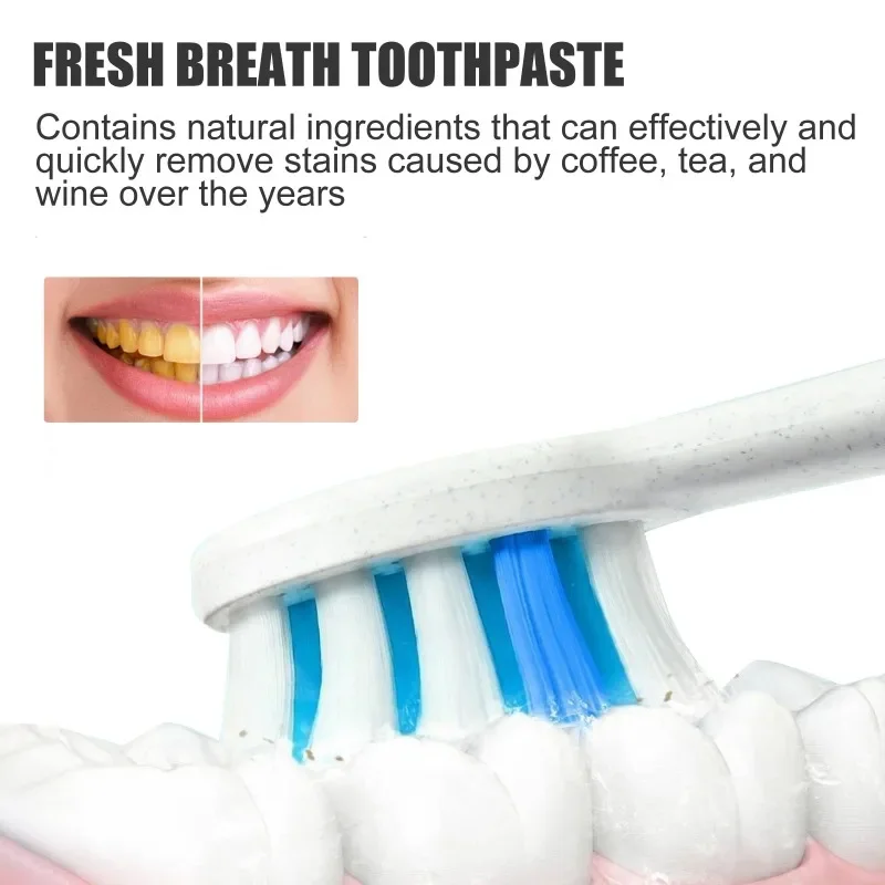 Quick Repair Cavities Caries Probiotic Toothpaste Clean Whiten Remove Yellow Plaque Protect Gum Reduce Tooth Stains Fresh Breath