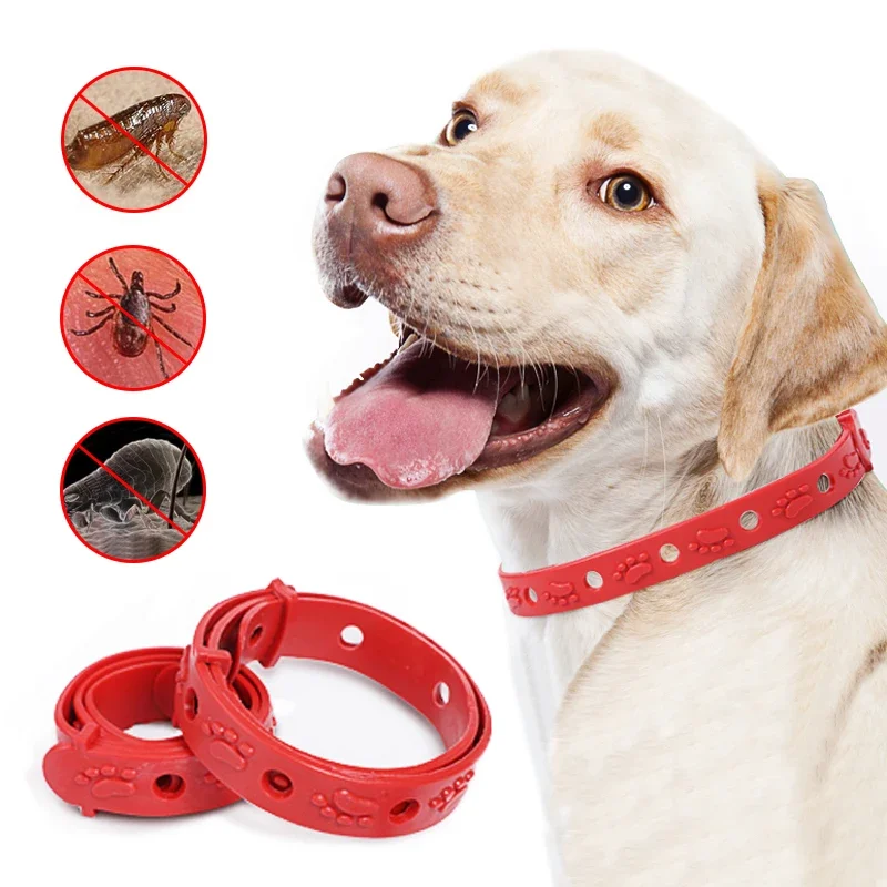 1pcs Dog Anti Flea And Ticks Collar 8 Month Pet Protection Retractable Pet Collars For Puppy Cat Small Dogs Accessories