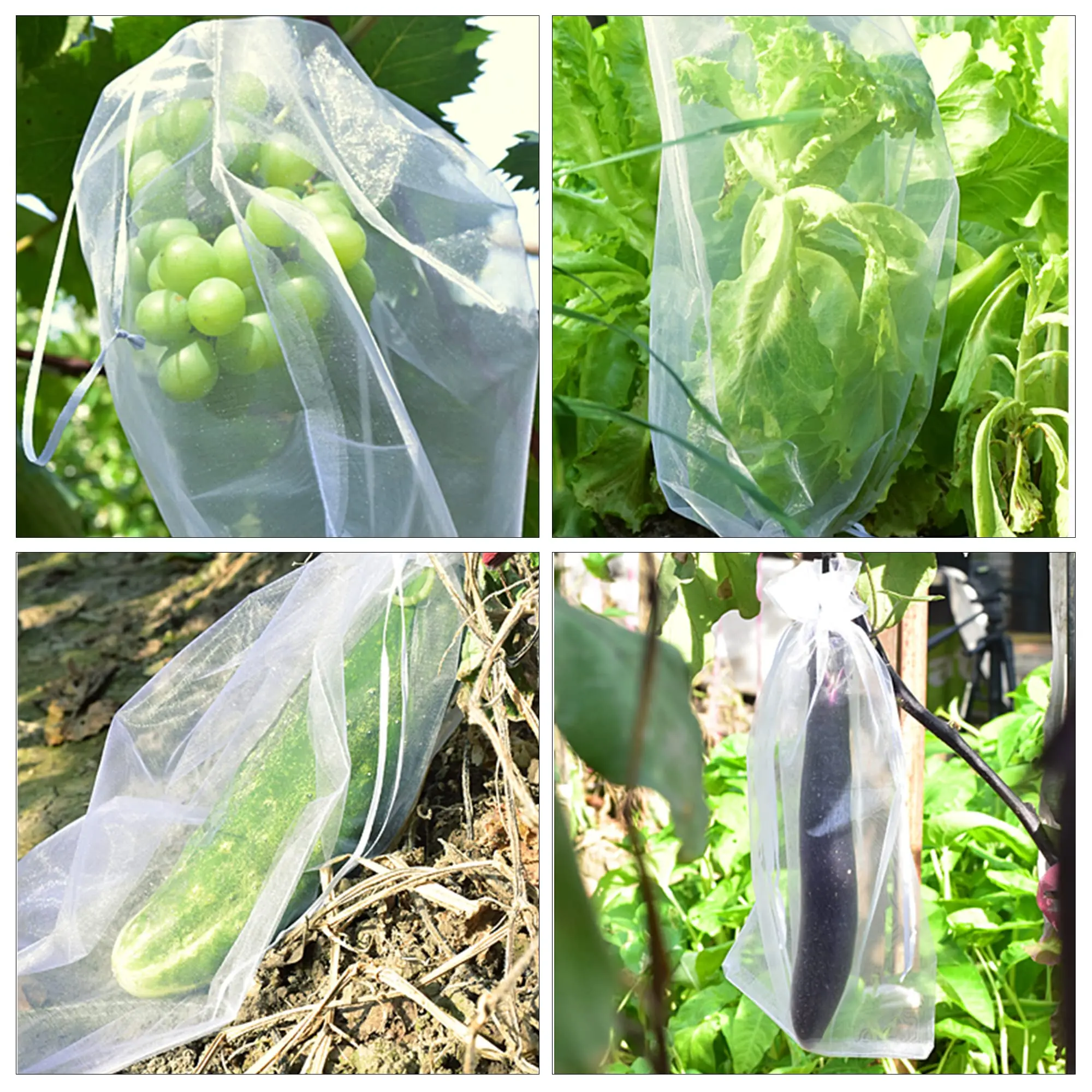 Fruit Bags to Protect Insect Mesh Net Bag Fruit Grape Mango Protection Bag Breathable Gauze Strawberry Seedling Bags Organza