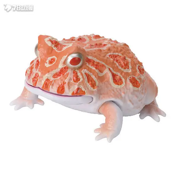 Bandai Gashapon ของแท้ 'ภาพประกอบทางชีวภาพ' Series - Horned Frog, Short-Headed Frog & Bread Frog Figures (Collectible Na