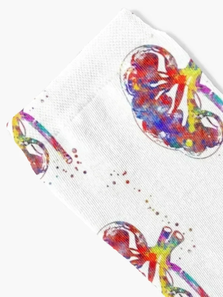 Kidney section, human anatomy, urology, kidney Socks moving stockings Wholesale Mens Socks Women's