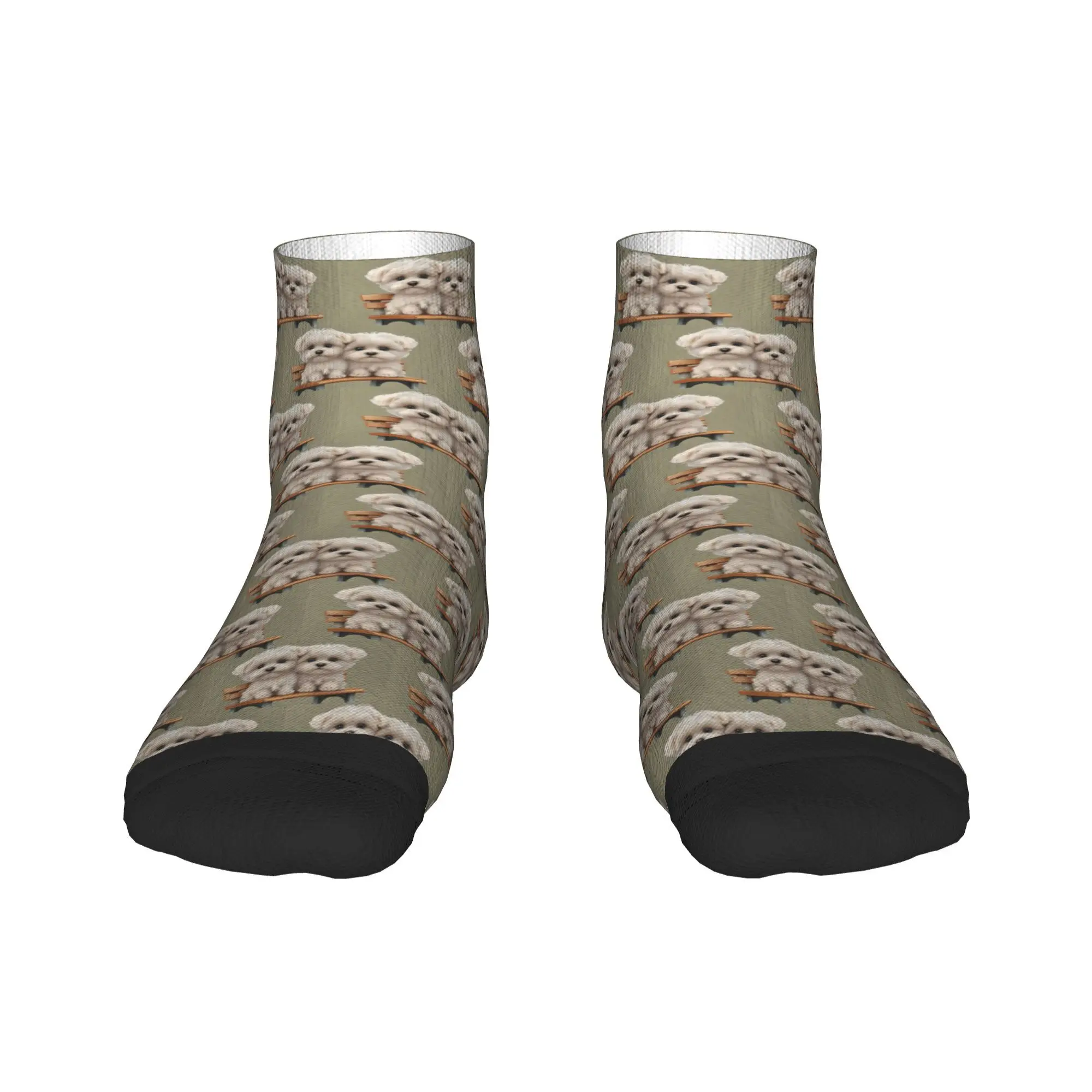 

Носки для собак Border Collie, впитывающие пот чулки в стиле Харадзюку, всесезонные носки, аксессуары для мужчин и женщин, подарок на день рождения