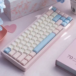 164 Keys Translucent Keycaps PBT+PC Double Shot Keycaps Cherry Profile For Cherry MX Switches Mechanical Keyboard 64/87/96