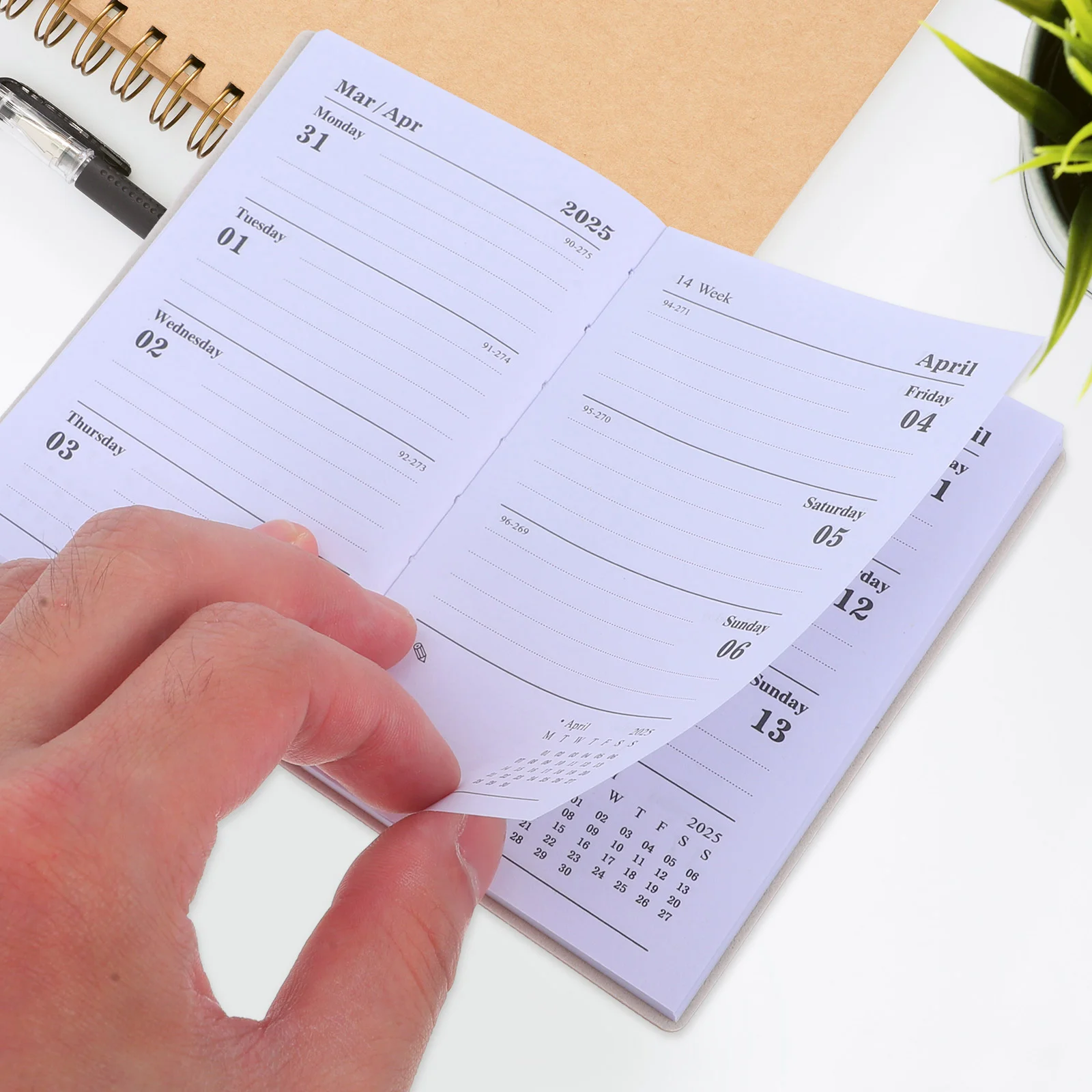 2025 Schedule Portable Planner Books Calendar The Notebook Daily Organizer Delicate Journal Pocket Spiral Convenient Month