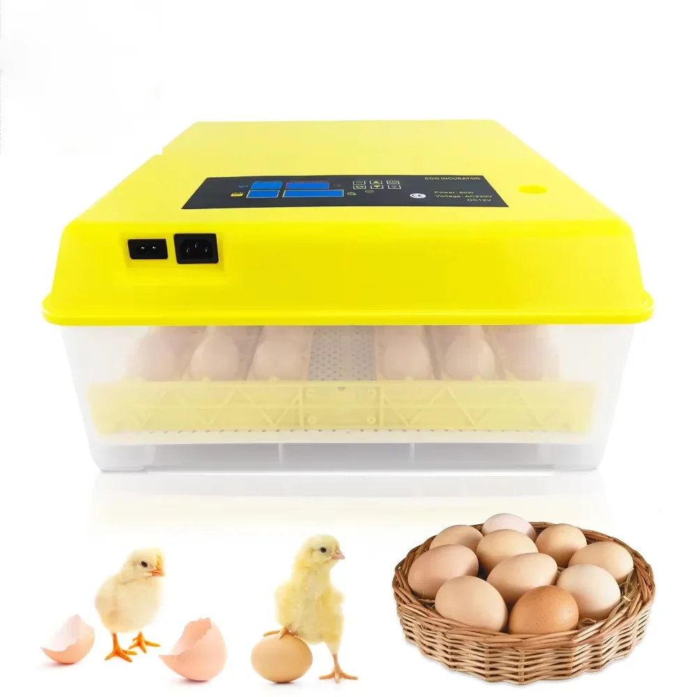 48 Eggs Mini Chicken Incubator 220V +12V Hatching Machine Poultry Incubator Chicks Out Of The Integrated Machine Hatching Box-image