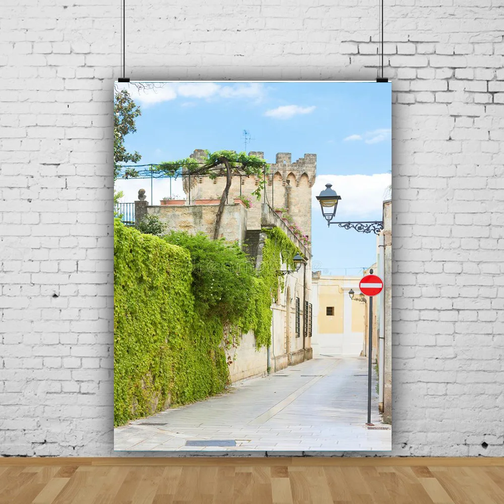 Fotos de estilo europeo para recién nacidos y mascotas, accesorios de fondo de fotografía Retro, paisaje costero, calle, boda, JDH-11