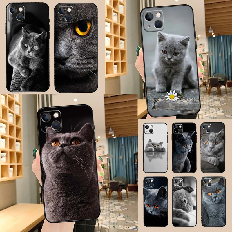 Beautiful Grey British Shorthair Cat Phone Case For Samsung Galaxy S26 S25 Ultra S20 S21 S22 S23 S24 S10 Plus S25 FE Cover Shell