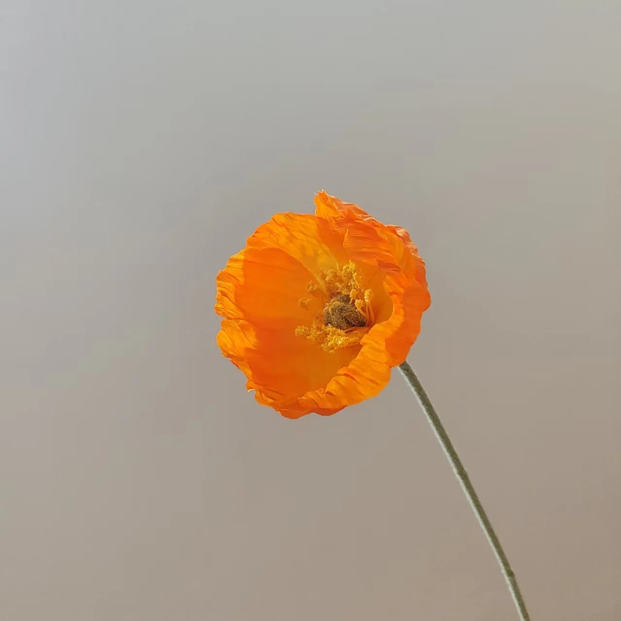 7-teiliges Set Künstliche Mohnblumen aus Flockstoff und Seide für Heimdekoration, Brautstrauß, Hochzeitsdekoration, Partydekoration, Tischdekoration – Detail 17