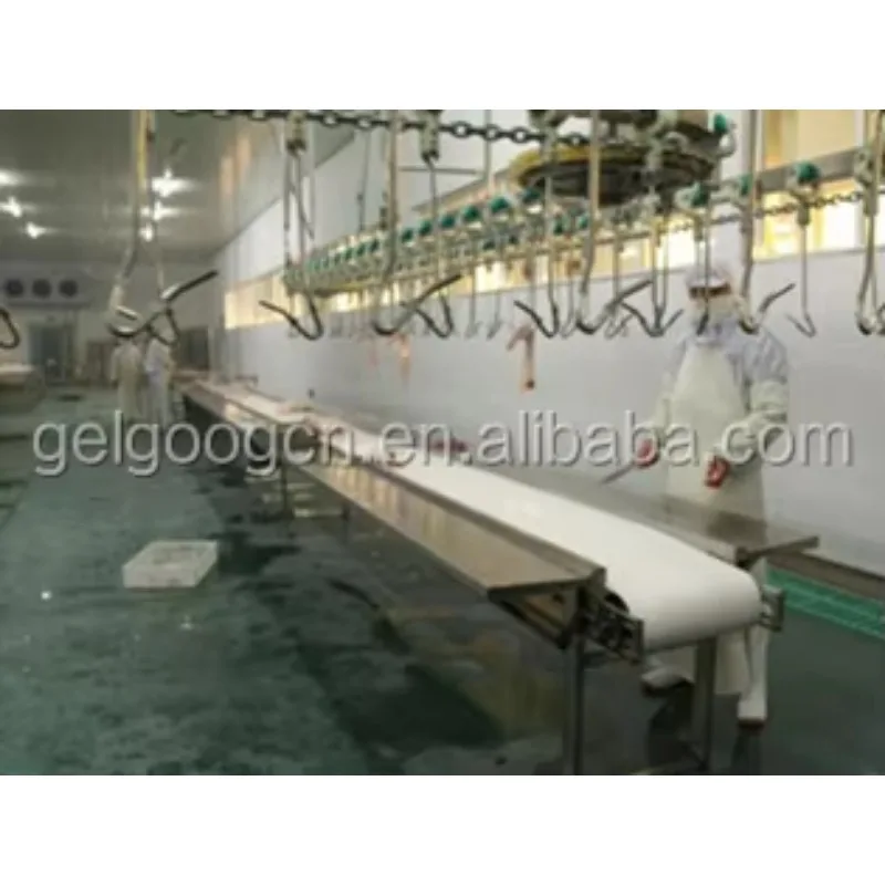 2025 อัตโนมัติมืออาชีพฆ่าเครื่องไก่สัตว์ปีก Slaughtering อุปกรณ์การประมวลผล Poultry Slaughter Line ราคา