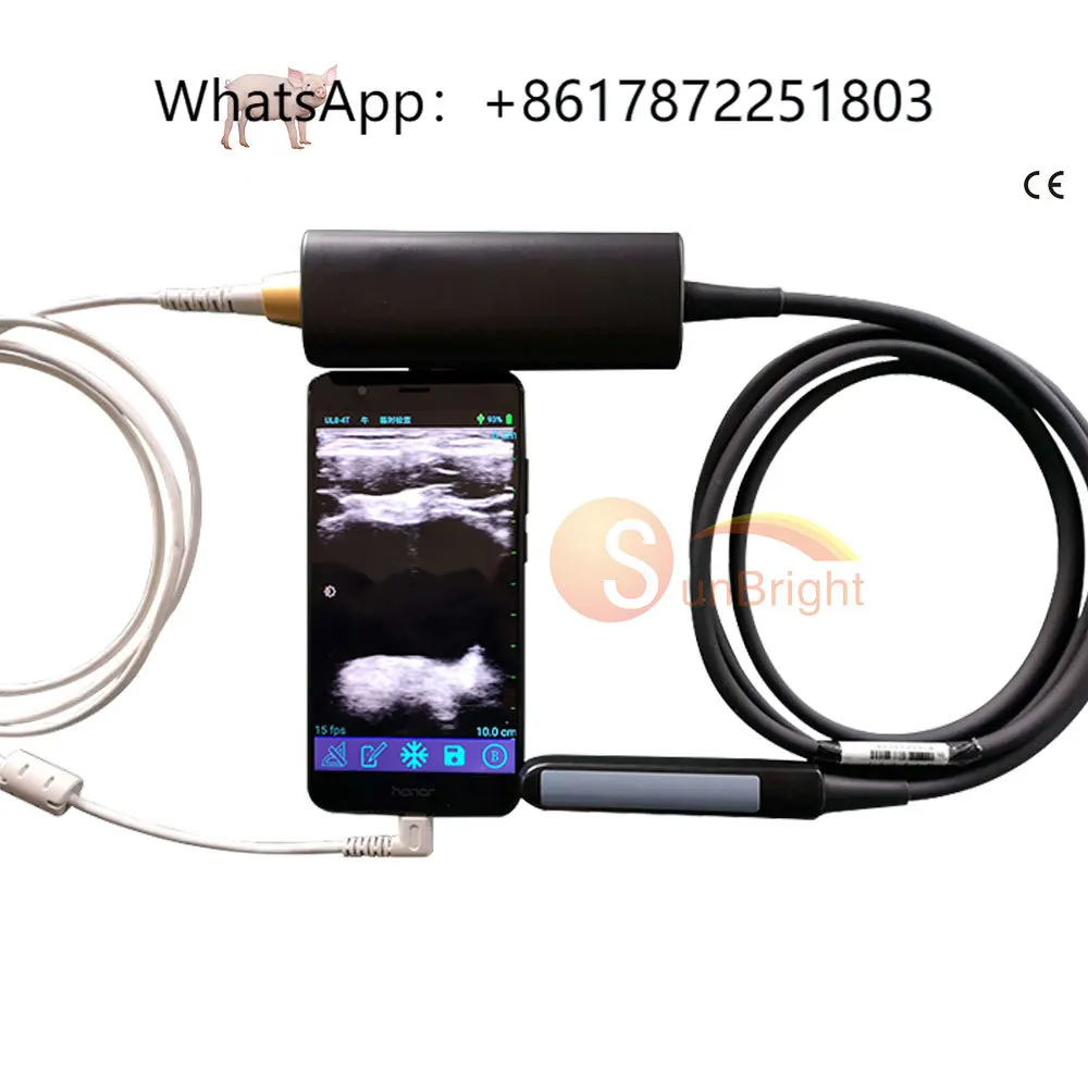 

CE Portable Echographe USB Usg Wifi Veterinary Instrument Cow Bovine Equine SUN-R1 USB Rectal Linear Probe Ecografo