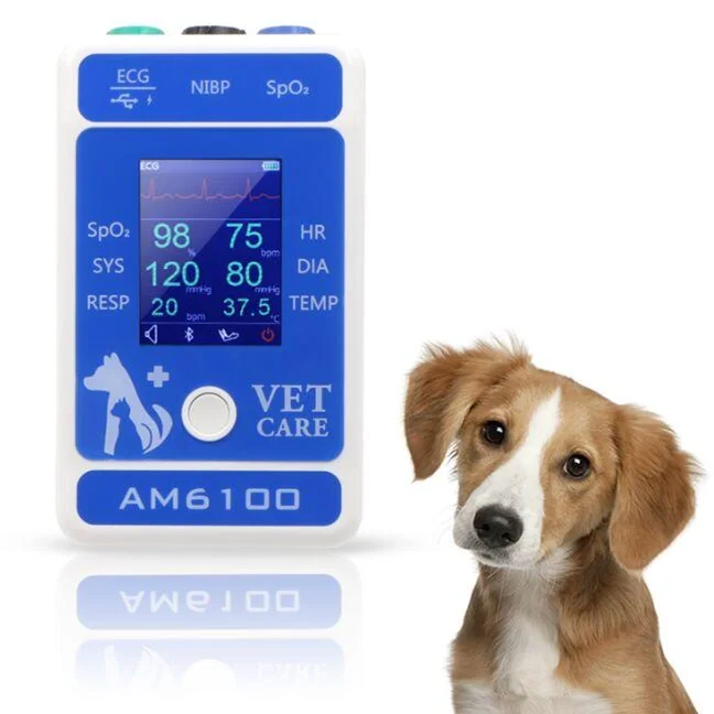 

VET ECG Pet Clinic Veterinary Equipment Animals Small Weight Material Warranty