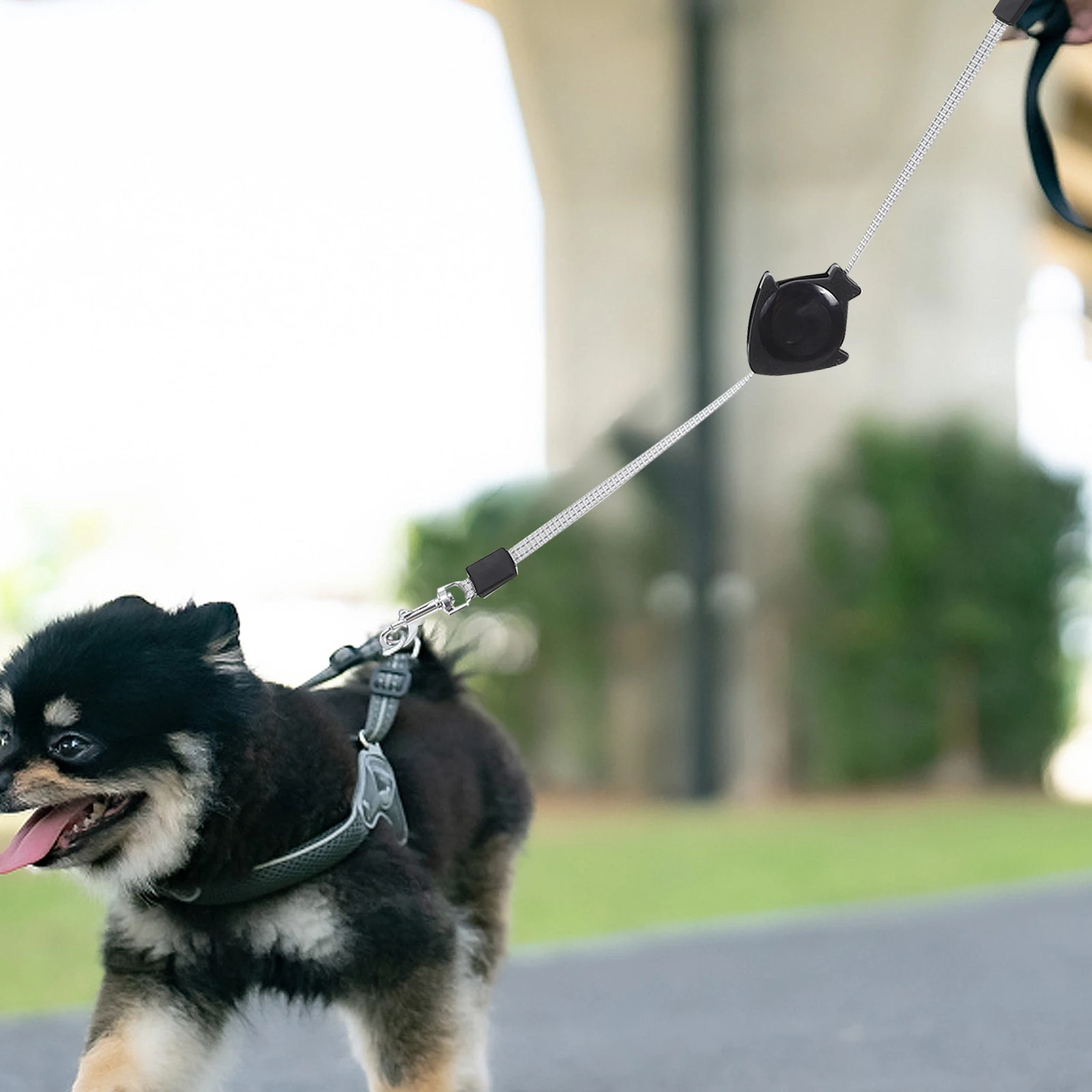 

Automatic Retractable Dog Leash Telescopic Traction Rope Pet Training Lead Black Long Design Heavy Duty Materials Metal Hook
