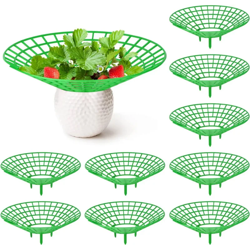 

3Pcs / 6pcs Strawberry Plant Supports with 3 Sturdy Strawberry Growing Racks Protector Frame Holder Cage From Mold Rot Dirt