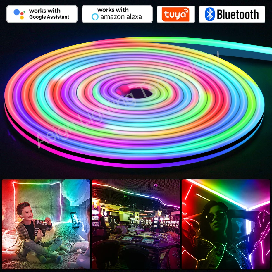 

Tuya Wifi RGBIC LED Neon Strip Light 12V Dreamcolor RGB Tape Remote Control Flexible Neon Lights Ribbon For DIY Home Decoration