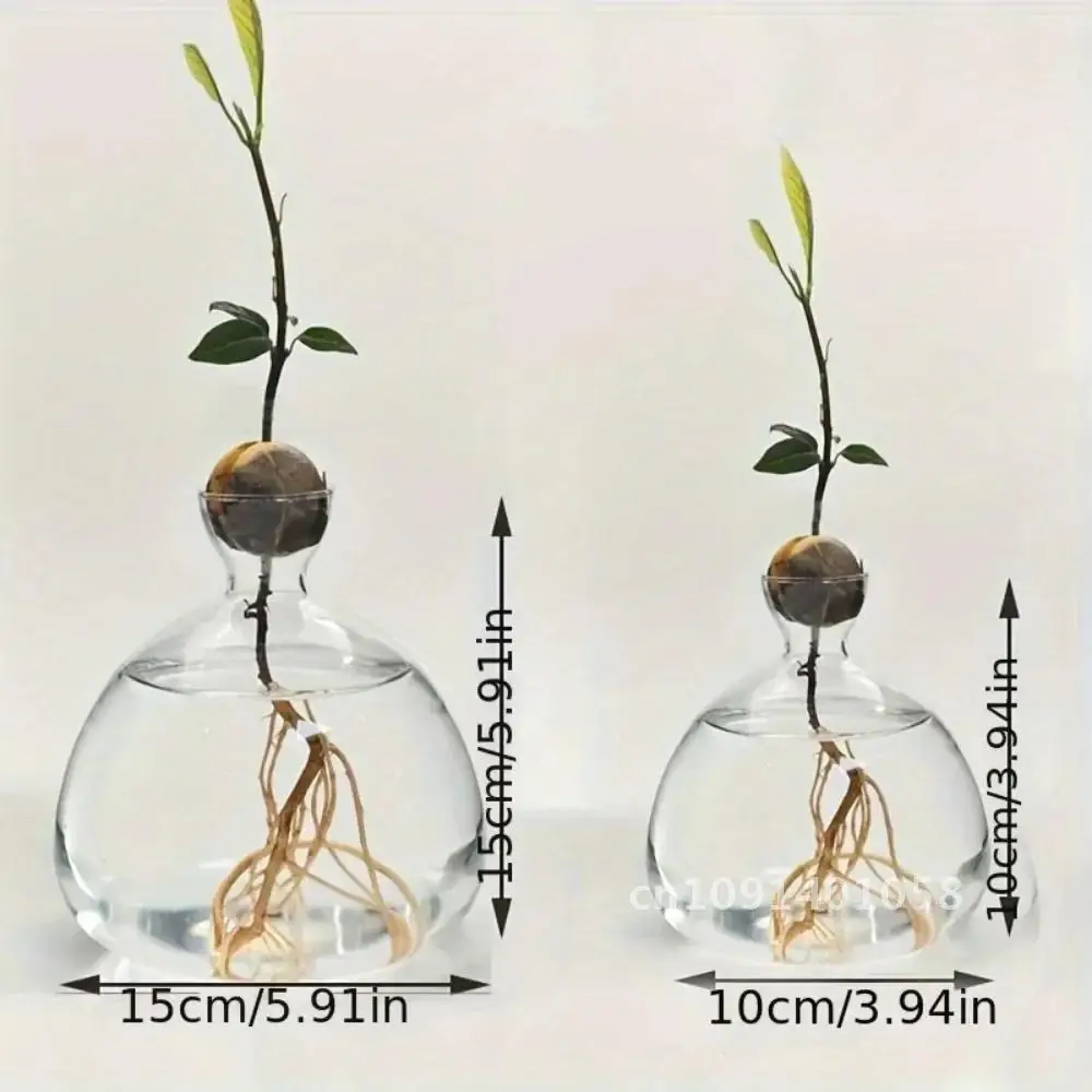 1Pcs Sprouting Seed Starter, Planter Vase Glass Container, Planter Acorn Tree Grow Kit Decorative, Glass Bulb Spreader Vase.