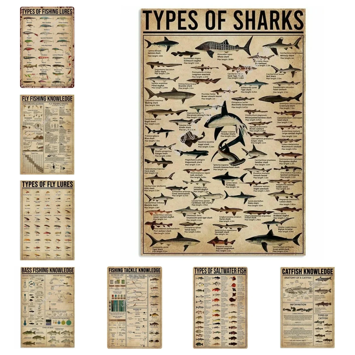 All Types of Shark Poster Notice for Diver for Decor Bathroom Gift for Diver Signs Vintage Road Signs High Way Metal Tin Sign