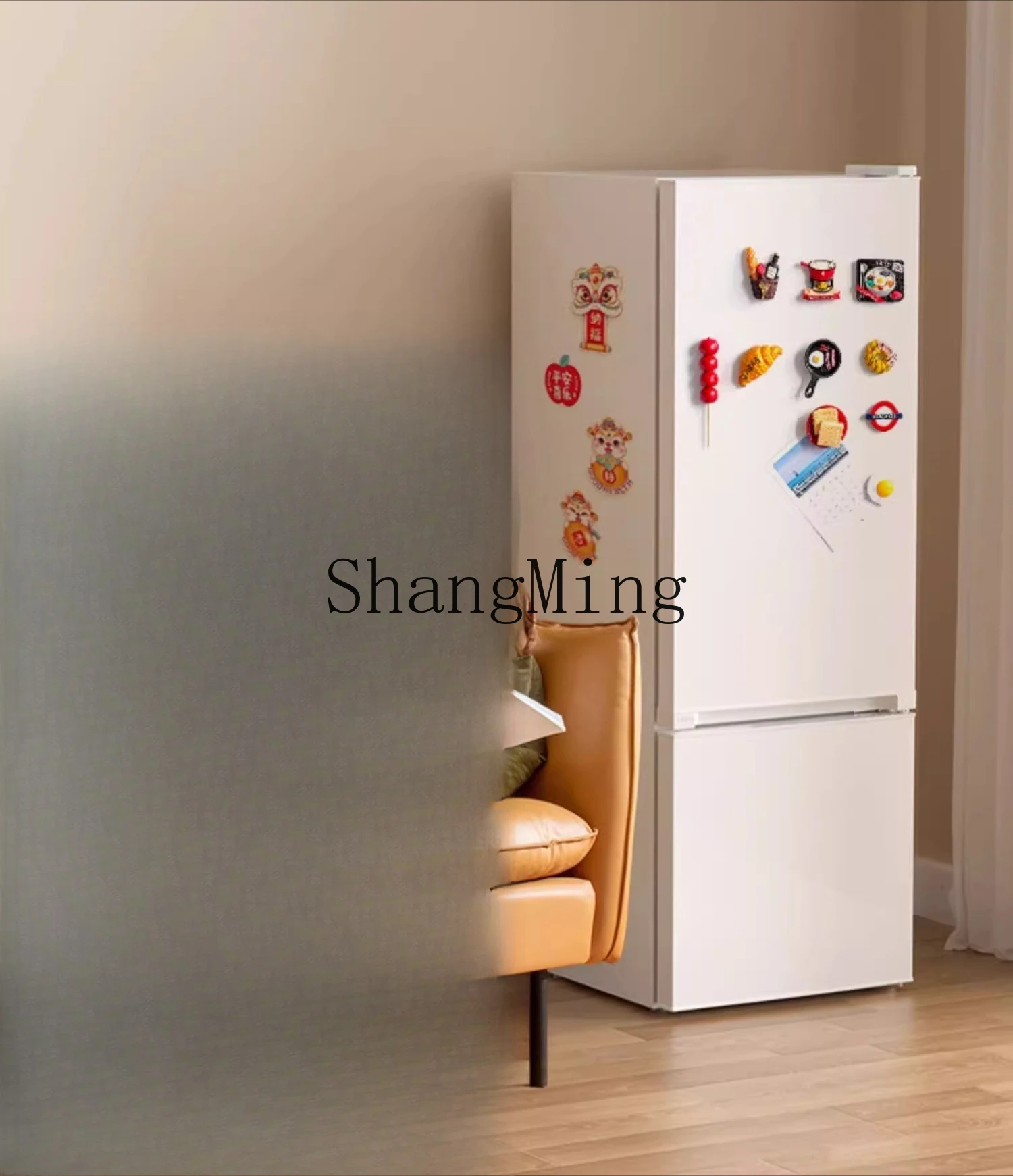 ZYY 家庭用小型冷蔵庫超薄型両開き省エネ小型ミニ冷凍庫