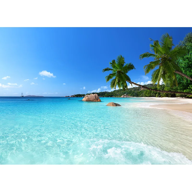 자연 경관 사진 배경 숲 강 풍경 TravelPhoto 배경 스튜디오 소품 21921 CXSC -12