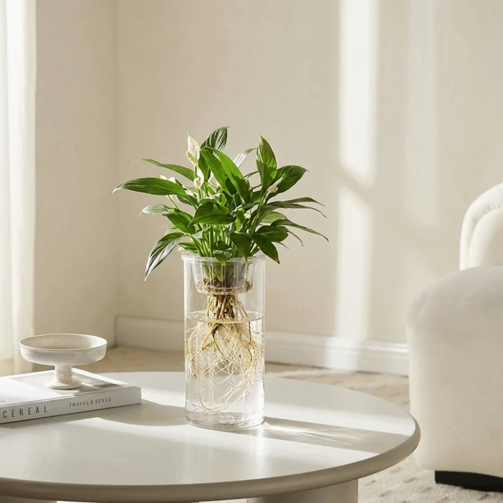 Indoor Plants Clear Hydroponic Vase High Transparent Imitation Glass Lazy Flower Pot Decorative Viewable Plant Pot Desktop Deco