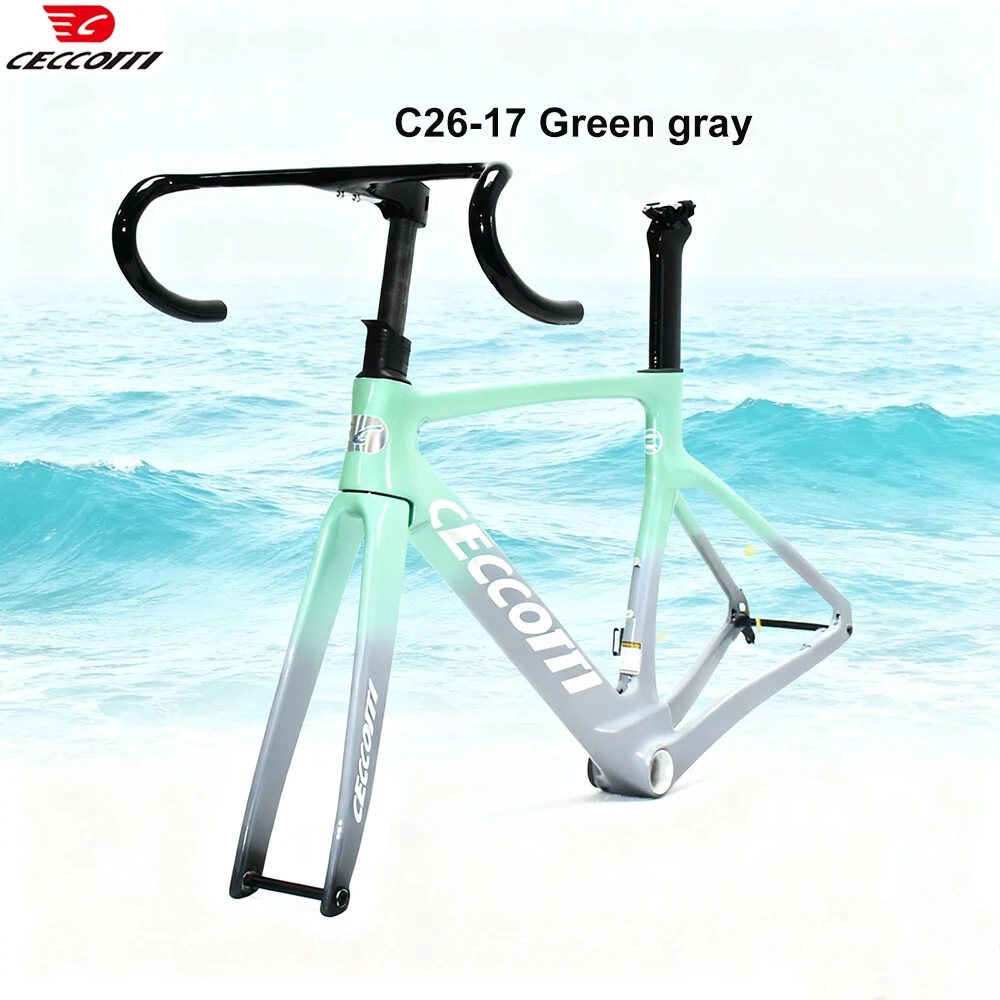 

CECCOTTI Full Carbon Road Bike Frame Disc Brake And Full Hidden Cable Cable Bicycle Frameset With all the bike Accessories