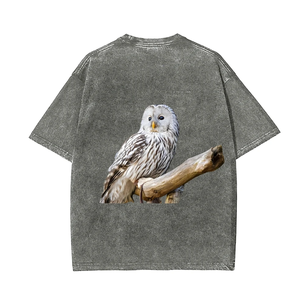 

Washed T - Shirt, Majestic Owl Graphic Print, Nature - Inspired Bird Design, Casual Loose Short - Sleeve, Trendy Streetwear Tee