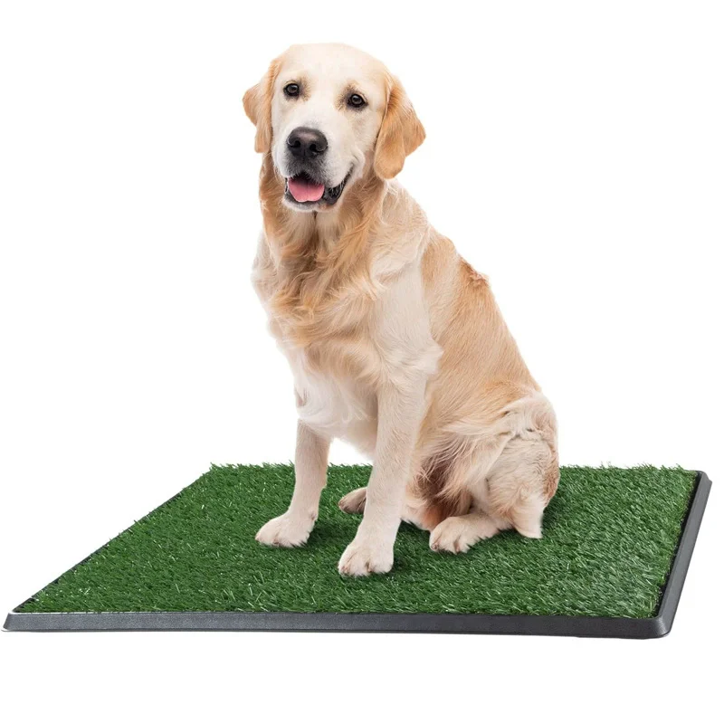 

Artificial Grass Puppy Pad Reusable Outdoor And Indoor Potty For Dogs Pet Training Mat With Plastic Tray For Dogs & Small Pets