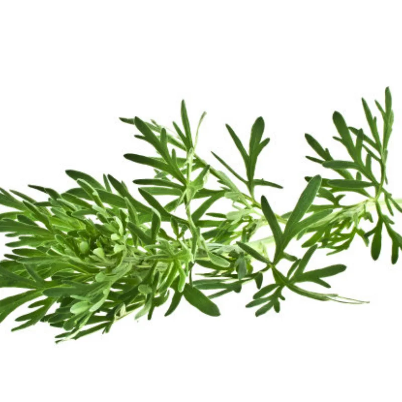 

Комплект передних и задних амортизаторов для обновления радиоуправляемого автомобиля для TRXS 1/10 E-Maxx/T-Maxx, детали для обновления радиоуправляемого автомобиля