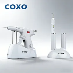 COXO C-FILL Endodontic obturation system high quality hot melt tooth filling system dental wireless Endodontic equipment