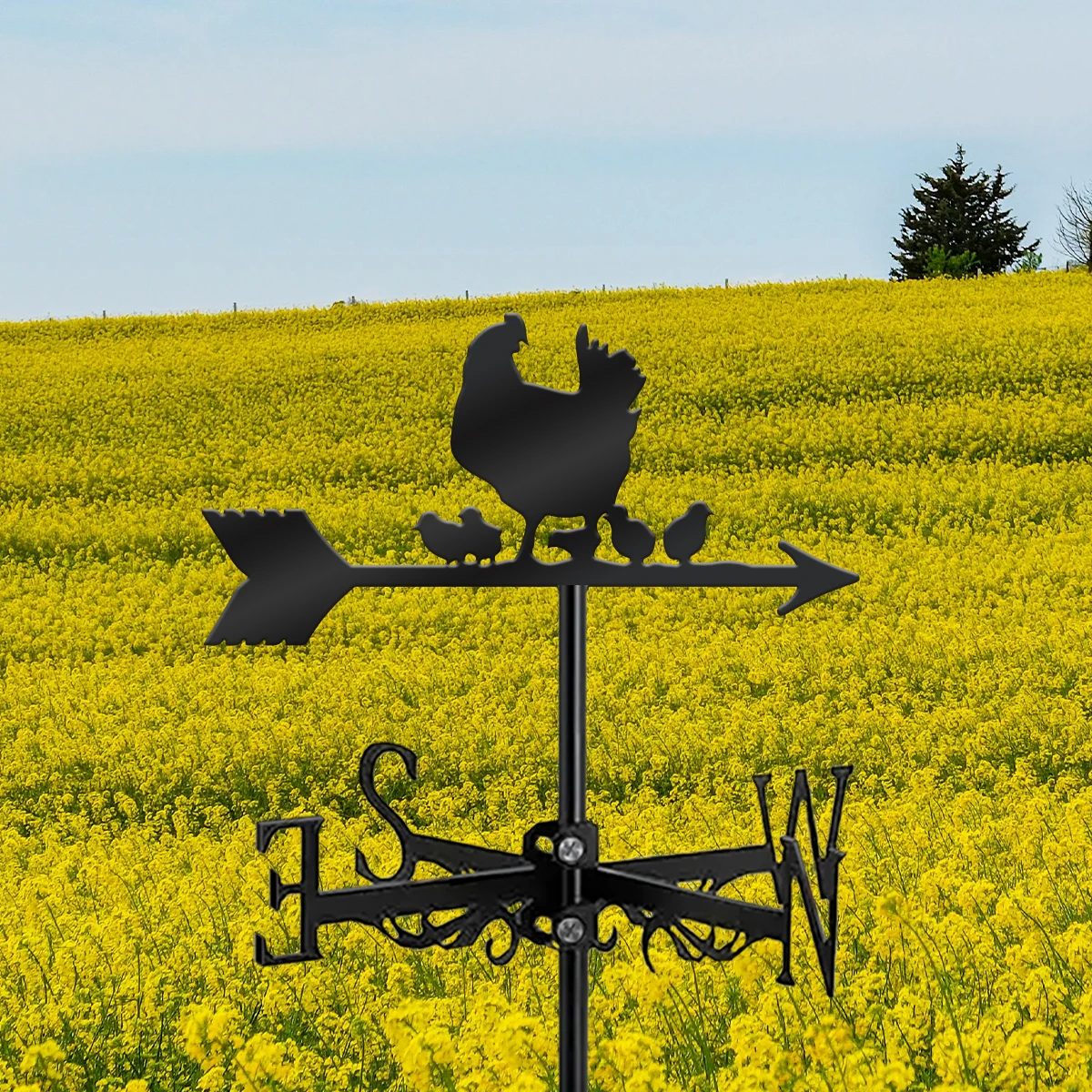 1Pc Hen And Chicks …