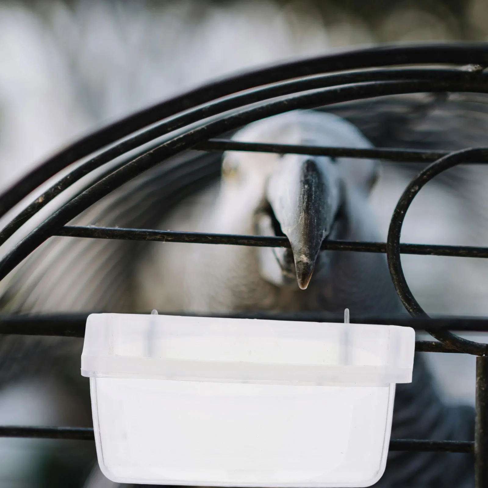 Transparent Parrot Feeder Box ABS Splashproof Bird Cage Food Container Hanging Dispenser for Cage Birds Easy to Install Prevent