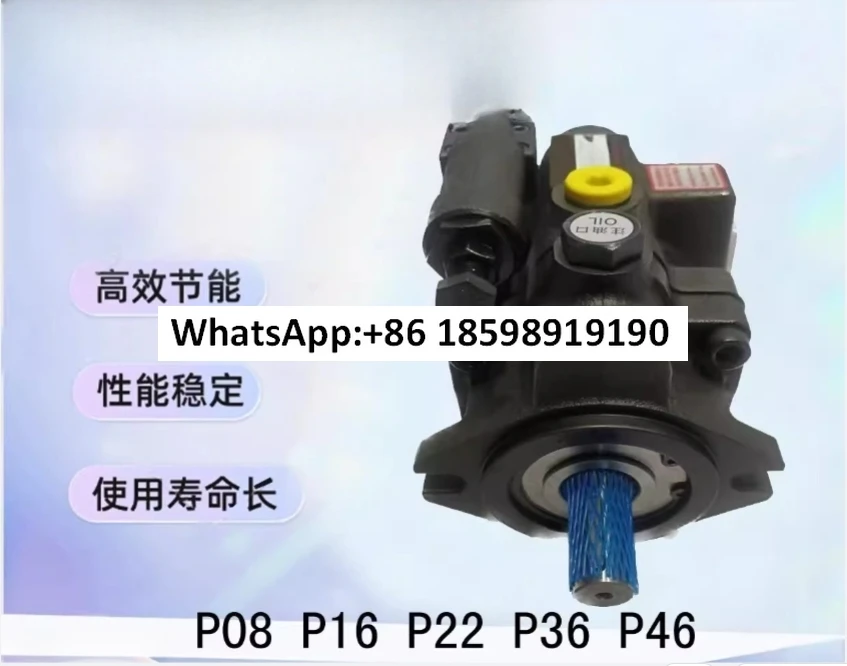 Kolben-Hydraulikölpumpe P08 16 22 36 46 70 100 A1 2 3 F R01