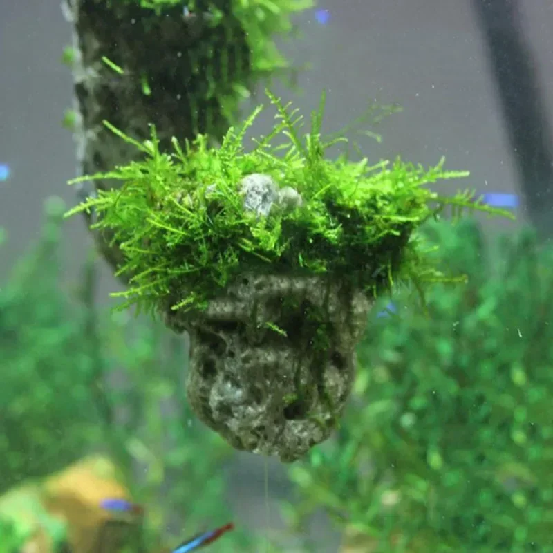 Natural Unique Shape Aquarium Fish Tank Floating Rock Stone Suspended Stone Floating Pumice Decor Rock Ornament