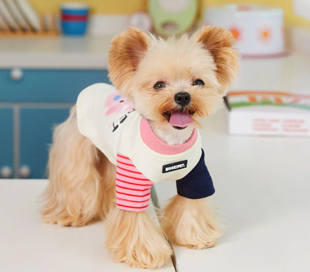 Warm Bottoming T-shirt for Dog and Cat, Clothes for Pet Fever, Velvet Clothes