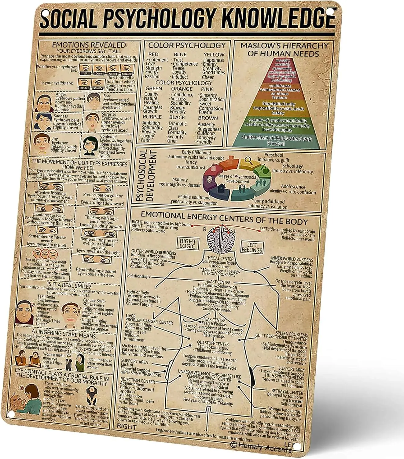 Affiche éducative sur la psychologie sociale Homely Accents, tableau de psychologie, décoration murale pour bureau, studio, maison, cadeau de conseil pour psychologue